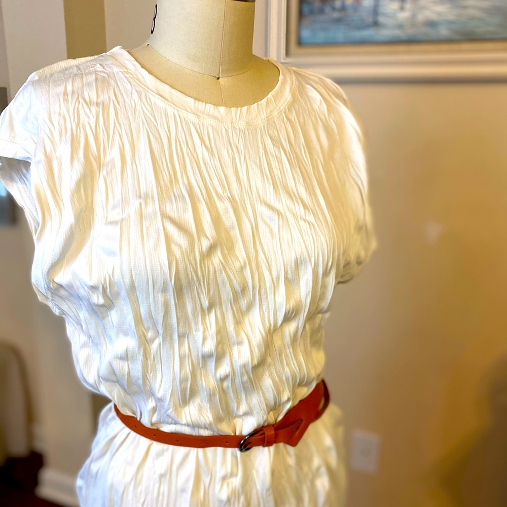 NWT ZARA Dress